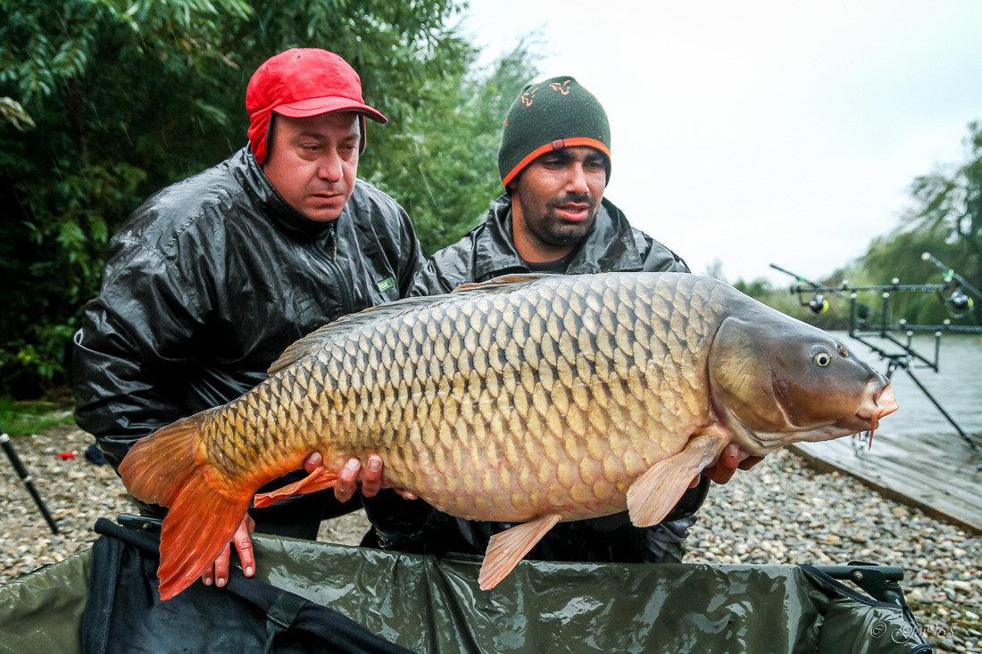 Cupa Toamnei !  8 - 11 octombrie 2015 - gor4854.jpg